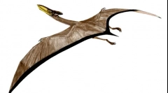 Ketzalcoatlus